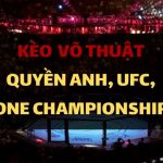 Kèo cá cược Võ thuật tổng hợp - MMA, Quyền Anh, giải UFC