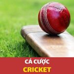 Cá cược Cricket - Hướng dẫn cách chơi tại Dafabet