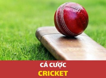 Cá cược Cricket – Hướng dẫn cách chơi tại Dafabet